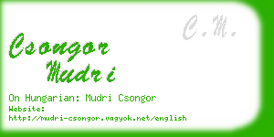 csongor mudri business card